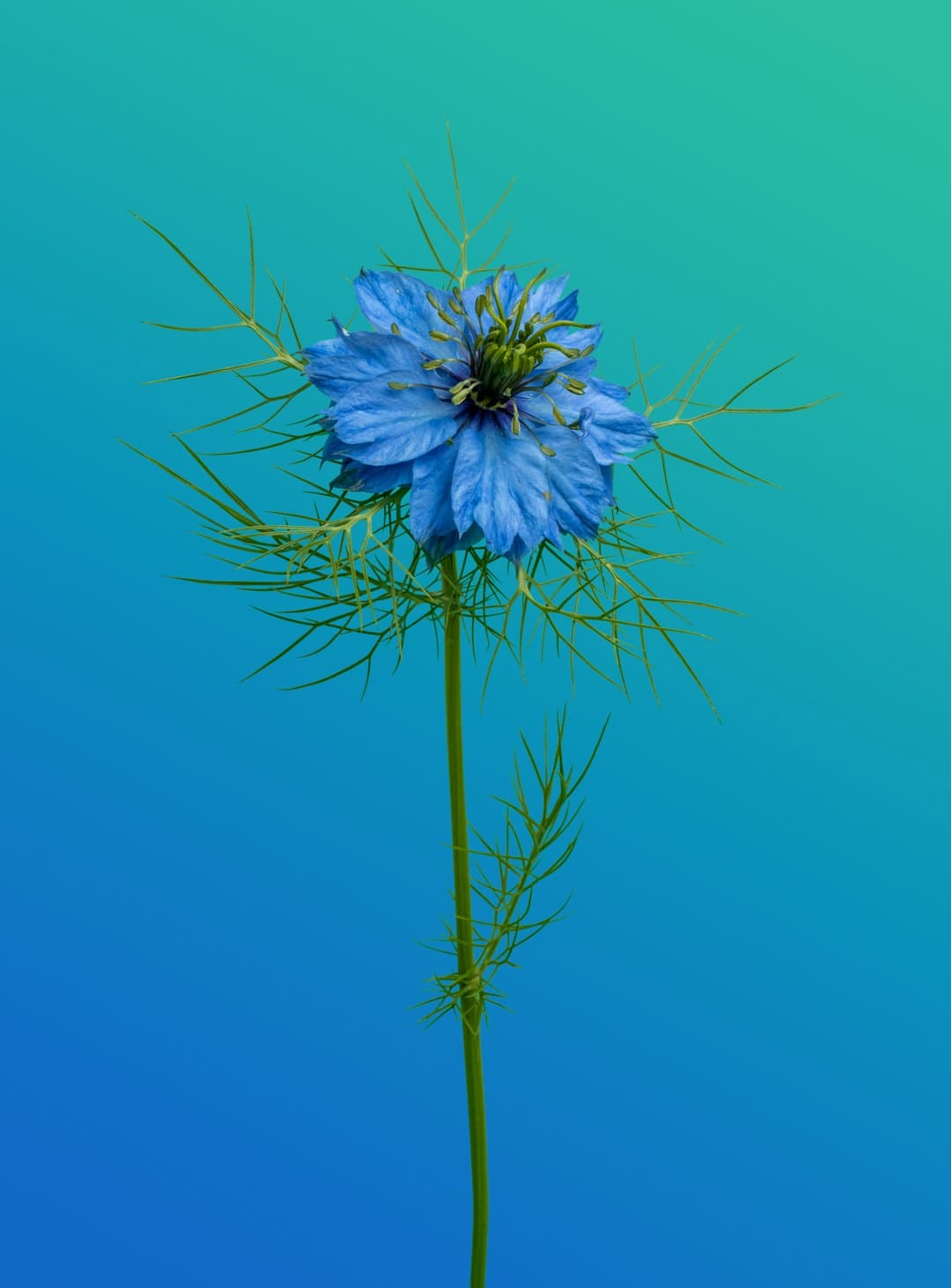 http://www.kcrea.cc/skin/default/image/zoomin.gif